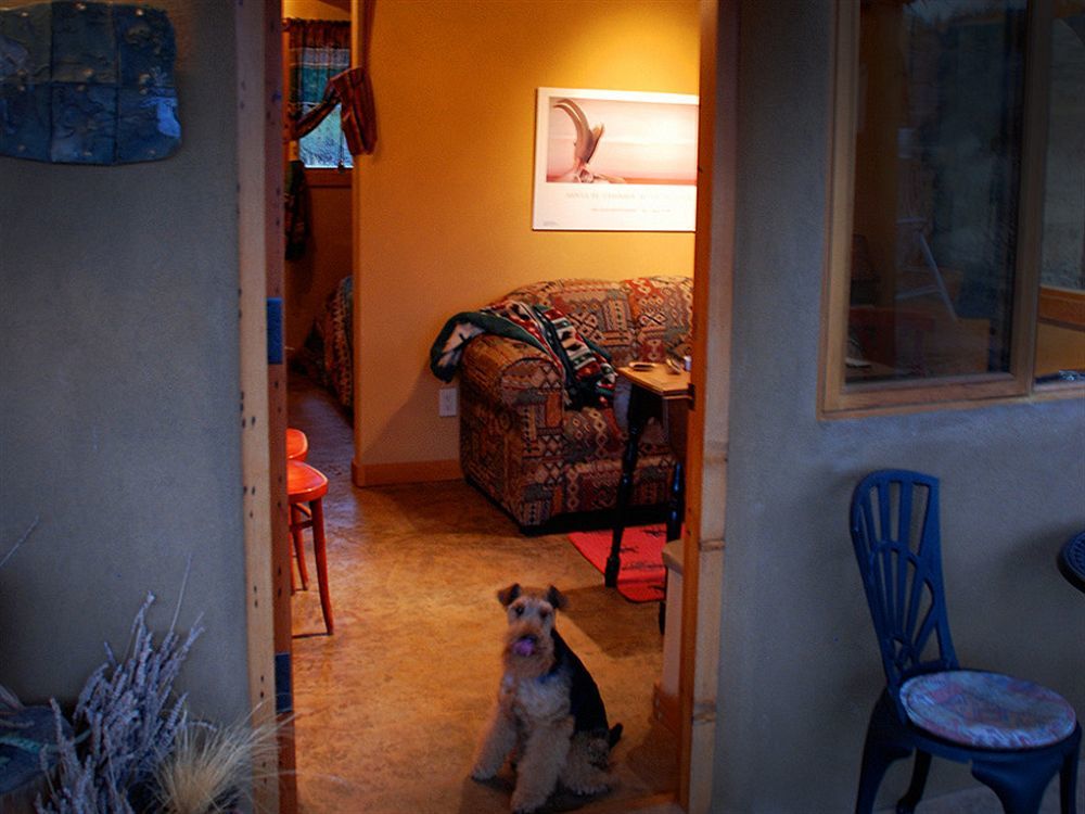 Bighorn Ridge Guesthouse Okanagan Falls Buitenkant foto