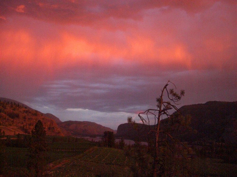 Bighorn Ridge Guesthouse Okanagan Falls Buitenkant foto