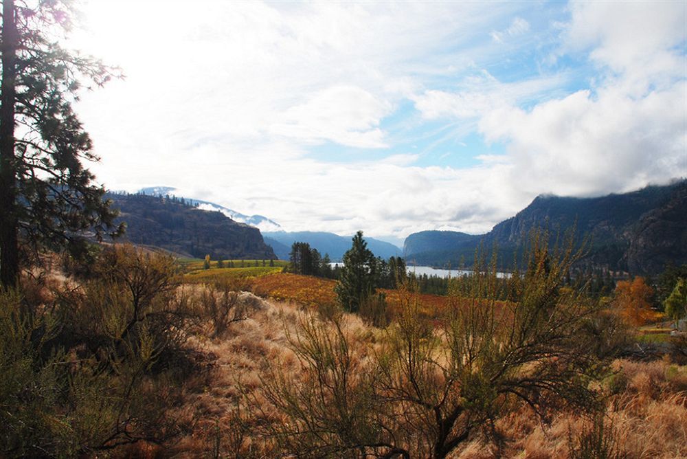 Bighorn Ridge Guesthouse Okanagan Falls Buitenkant foto