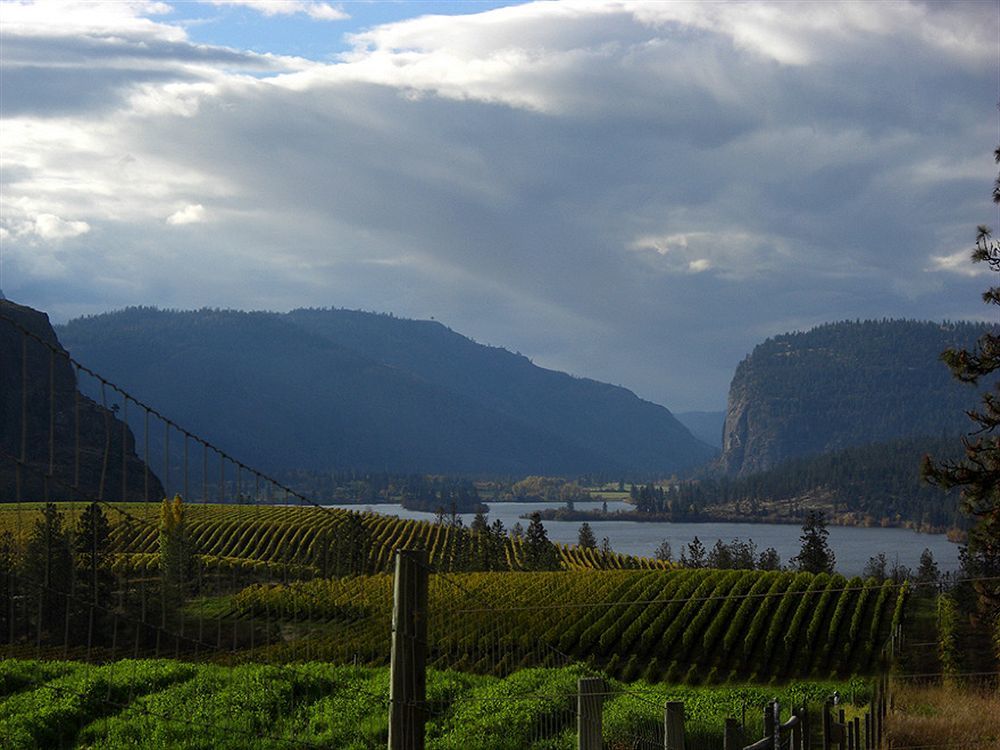 Bighorn Ridge Guesthouse Okanagan Falls Buitenkant foto