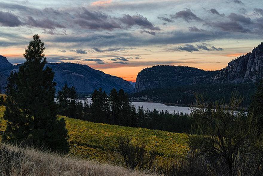 Bighorn Ridge Guesthouse Okanagan Falls Buitenkant foto